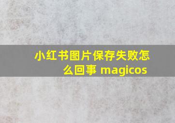 小红书图片保存失败怎么回事 magicos